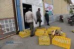 ضدعفونی معابر و توزیع اقلام بهداشتی توسط طلاب و جوانان غیر ایرانی شباب المقاومه