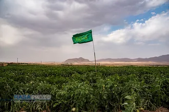 تبلیغ زکات | این است دین درست