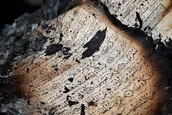 از کلیسا تا مسجد؛ امضای سرخ تروریسم مذهبی