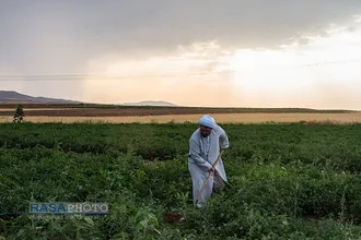 تبلیغ زکات | این است دین درست