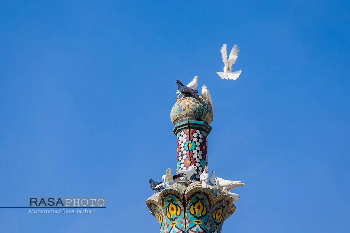 مراسم نمادین ورود کاروان حضرت معصومه (سلام الله علیها) به قم