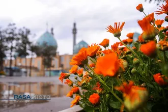 مسجد مقدس جمکران؛ تجلی&zwnj;گاه وحدت و انتظار