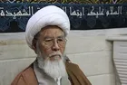 New chairman of Afghanistan Shia Council elected