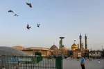 حال و هوای حرم حضرت معصومه (سلام الله علیها) در ماه مبارک رمضان