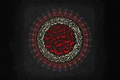 بصیرت عاشورایی | روز هفتم  محرم