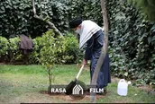 کاشت دو نهال میوه در روز درختکاری