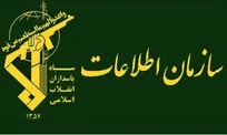 دستگیری ۲۵ عامل مرتبط با گروهک‌های تروریستی در استان تهران