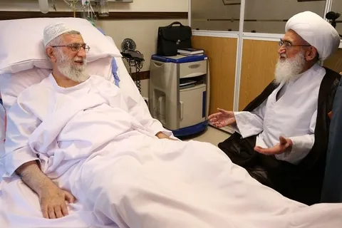 رابطه مراجع عظام تقلید و رهبر شهید ایران