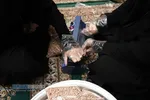 بسته بندی مواد غذایی برای نیازمندان توسط بانوان طلبه غیر ایرانی