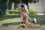 کاشت نهال در هفته منابع طبیعی توسط مقام معظم رهبری