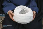 جشن عمامه&zwnj;گذاری طلاب حوزه علمیه حضرت ولی عصر (عج)