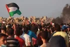 Over 75 Gazans injured by Israeli forces