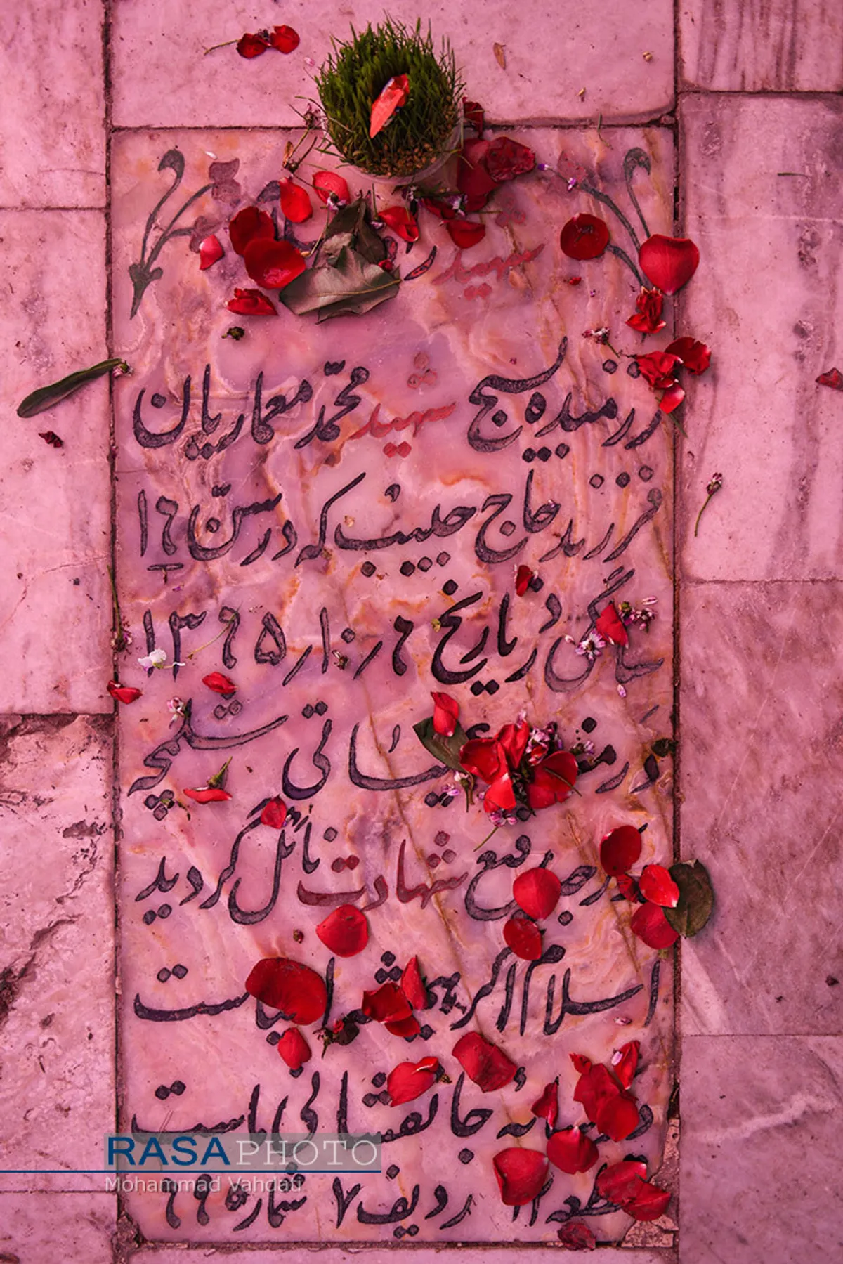 حرم امامزادگان علی بن جعفر (ع) در قم