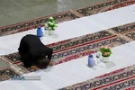 سفره افطاری حرم حضرت فاطمه معصومه (سلام&zwnj;الله&zwnj;علیها) در ماه مبارک رمضان
