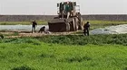 Israel’s desecration of Palestinian corpse in Gaza war crime: Rights group