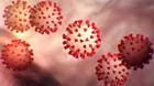 Coronavirus was produced in a laboratory