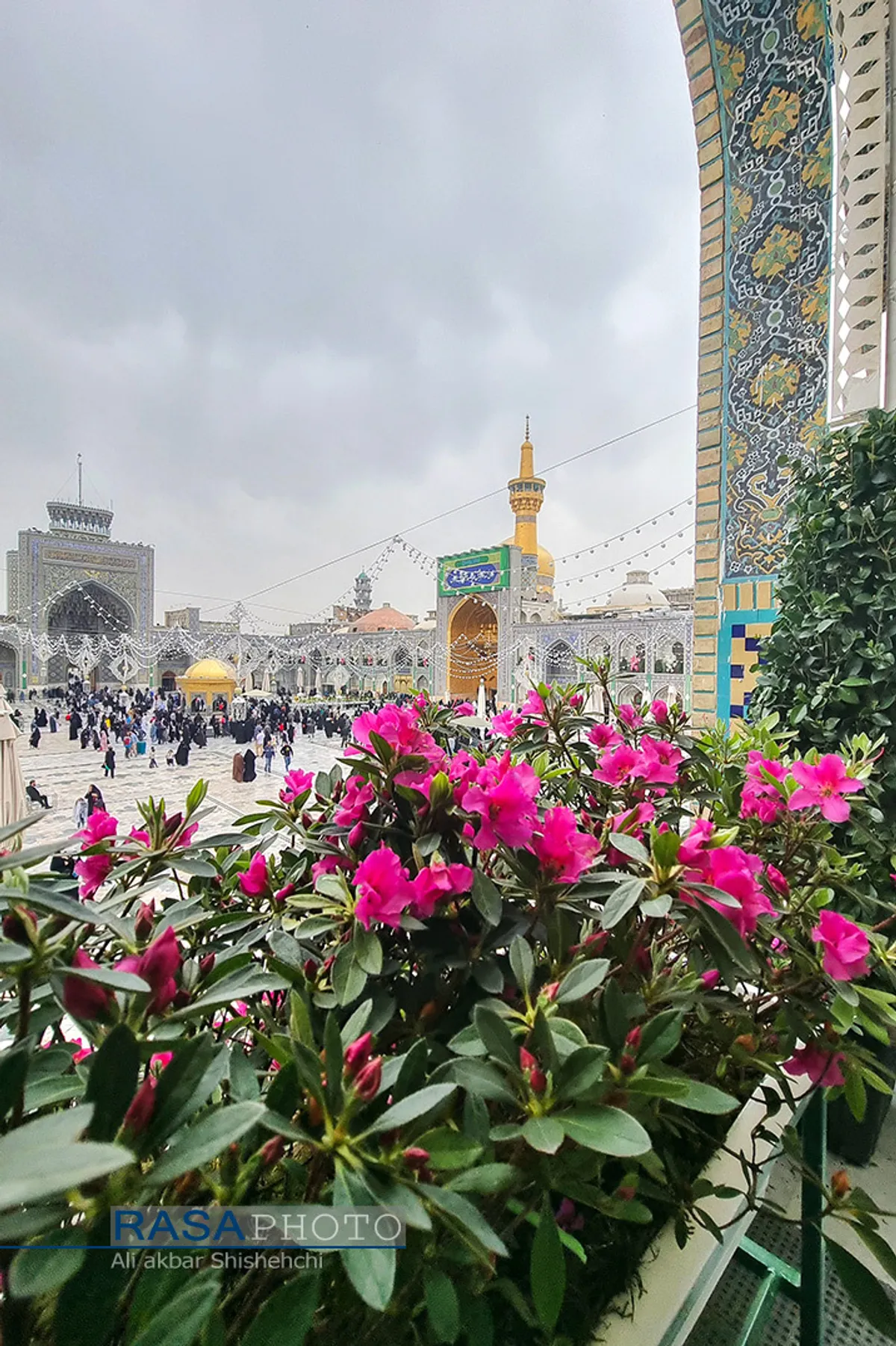 گل&zwnj;آرایی بخش هایی از صحن حرم مطهر رضوی