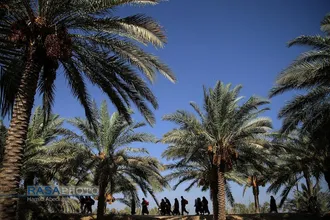 طریق العلماء، راهی به سمت حسین (ع)