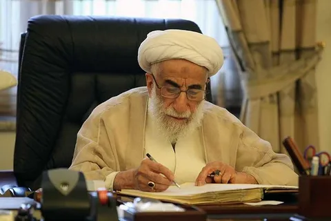 آیت الله صافی گلپایگانی در زمره مراجع انقلابی، دغدغه مند و حامی نظام بود