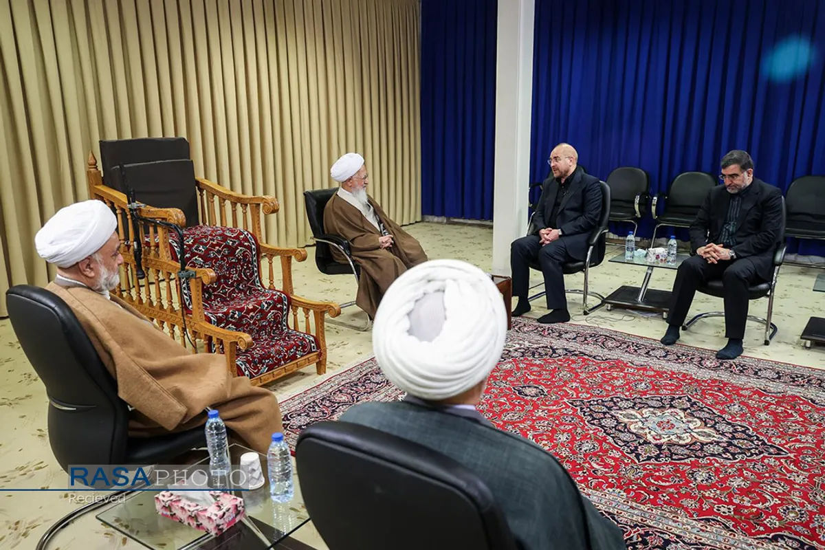 دیدار رئیس مجلس شورای اسلامی با مراجع تقلید در قم