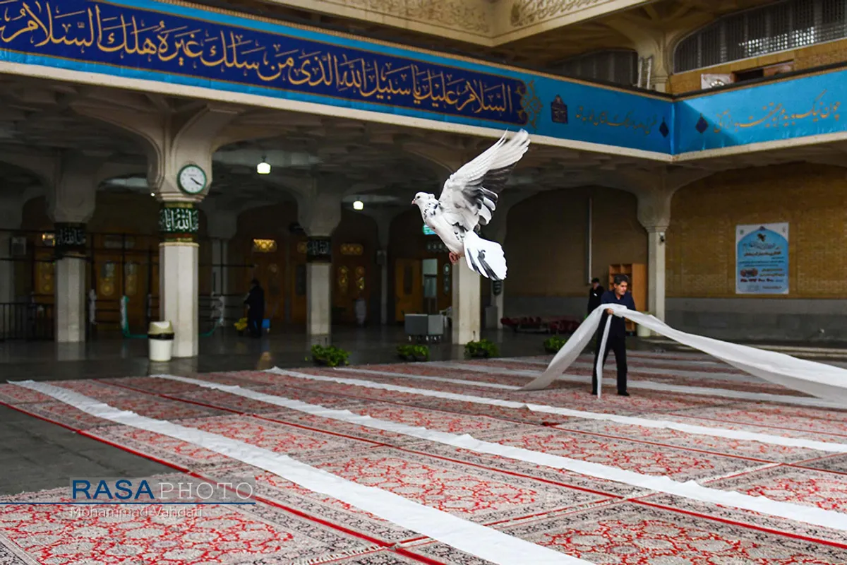 سفره افطار حرم کریمه اهلبیت (سلام&zwnj;الله&zwnj;علیها) در قم