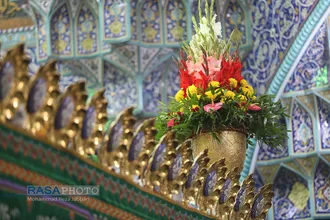 گل&zwnj;آرایی ضریح حرم مطهر در آستانه سالروز ورود حضرت معصومه (سلام الله علیها) به قم