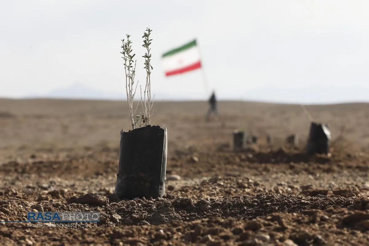 غرس ۶۵۰۰ نهال به یاد رهبر شهید انقلاب و شهدای جنگ تحمیلی سوم