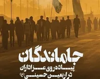 پیاده‌روی جاماندگان اربعین در ۴۹ نقطه چهارمحال و بختیاری برگزار می‌شود 