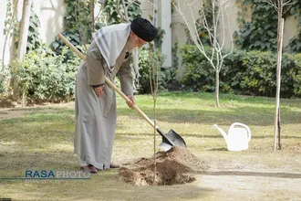 کاشت نهال در روز درختکاری