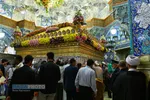 گل&zwnj;آرایی ضریح مطهر حضرت معصومه (س) در شب میلاد امام رضا (علیه السلام)
