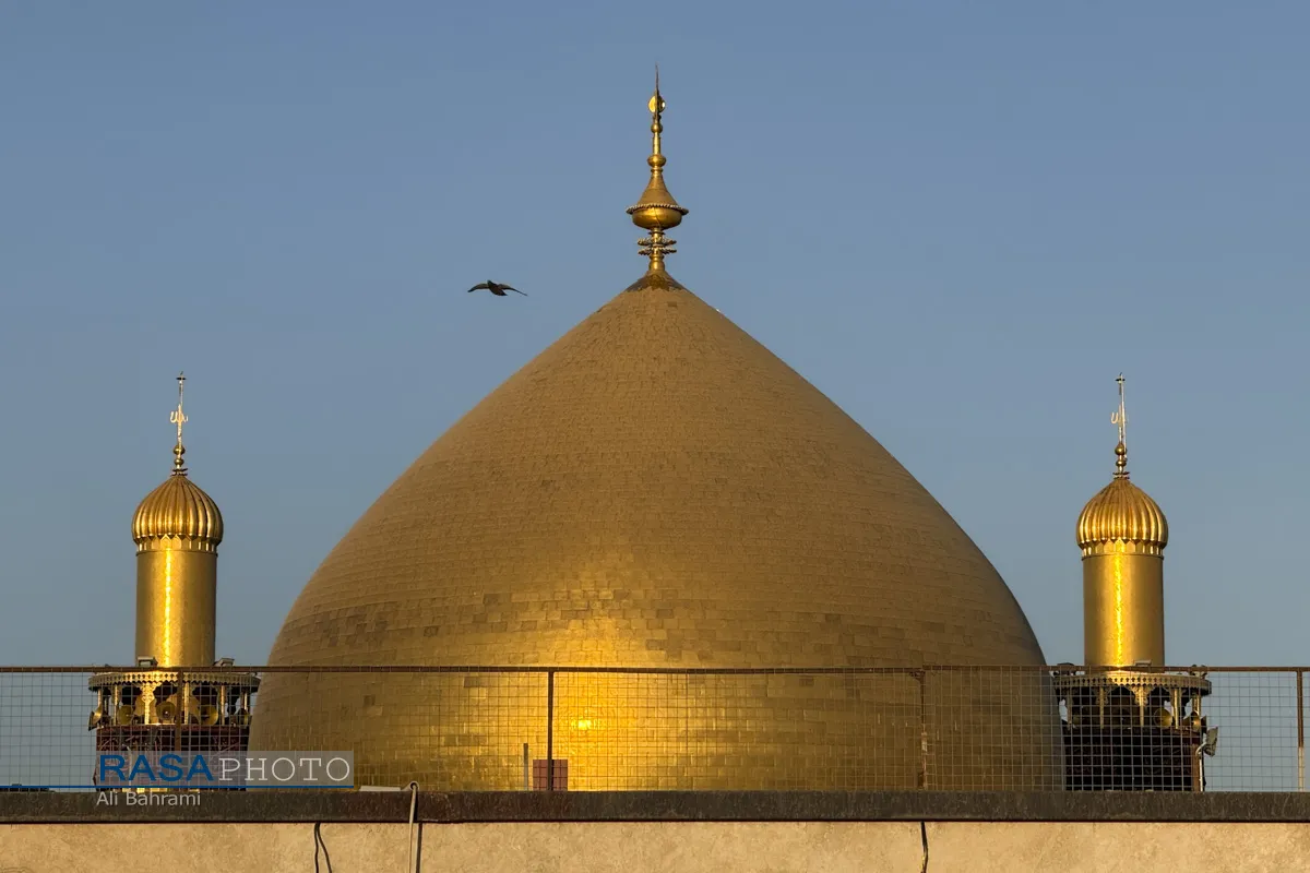 حرم حضرت امام امیرالمؤمنین (ع) در آستانه اربعین حسینی
