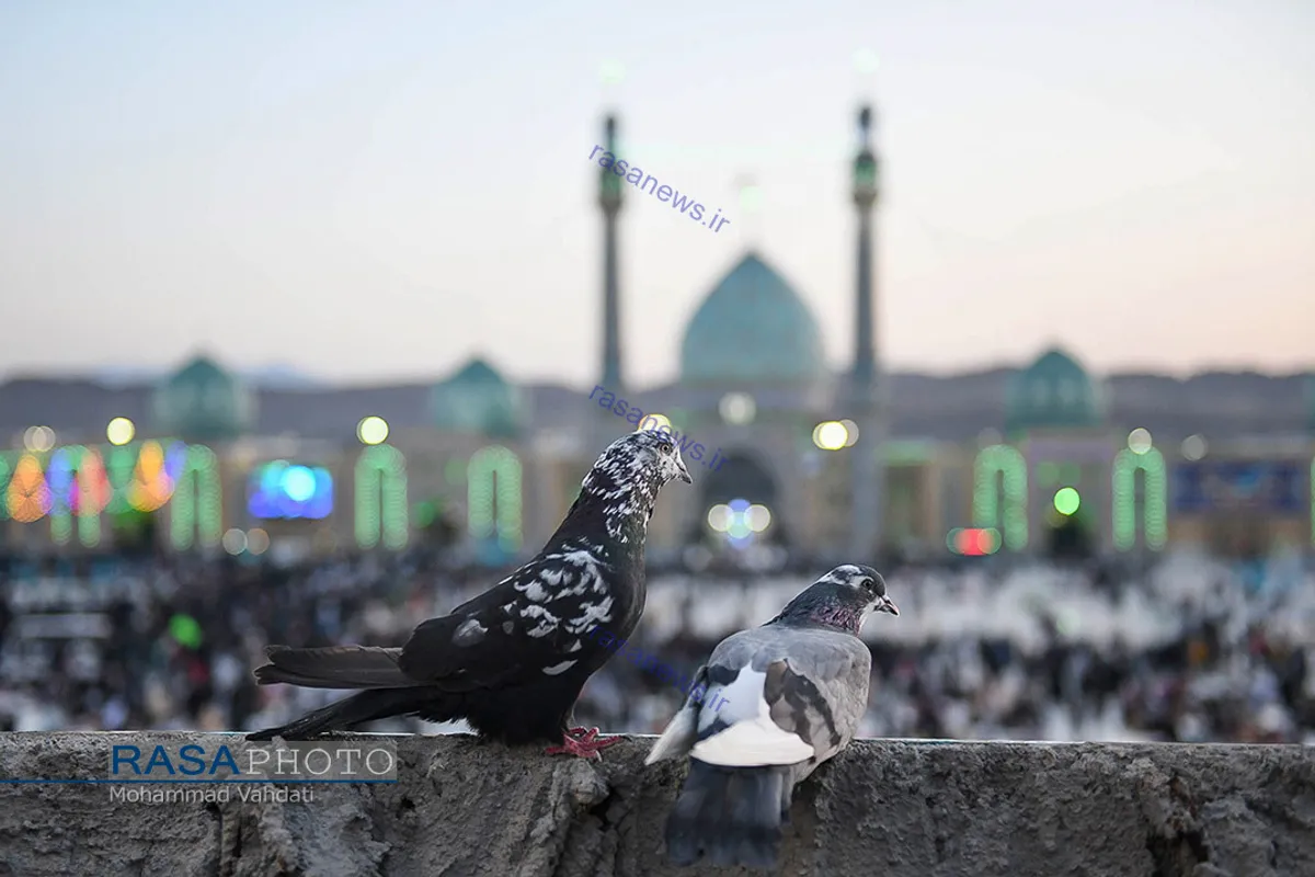 منتخب عکس&zwnj;های خبرگزاری رسا در نیمه دوم سال ۱۴۰۰