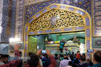 گل&zwnj;آرایی ضریح مطهر روضوی ویژه ولادت حضرت امام رضا (علیه السلام)