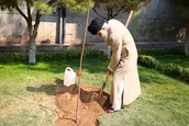 دستگاه‌های مسئول باید جداً در مقابل آسیب زدن به درختان بایستند