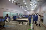 فعالیت جهادی طلاب در غسالخانه بهشت زهرا (س) تهران