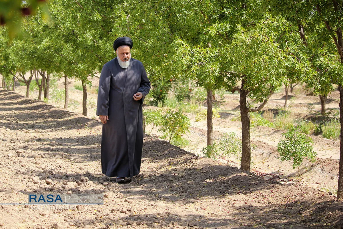 کمک جمعی از طلاب در برداشت محصول عناب به یکی روستاییان خراسان جنوبی