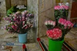 گل&zwnj;آرایی ضریح مطهر حضرت معصومه (س) در شب میلاد امام رضا (علیه السلام)