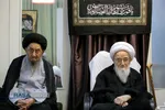 مرحوم آیت الله العظمی صافی گلپایگانی
