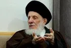 Ayatollah Hakim stressed upbringing of children based on the Islamic culture