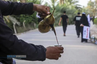 پیاده روی زائران اربعین حسین (ع) در طریق العلما