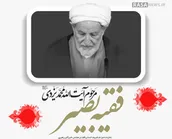 اطلاع نگاشت | نگاهی به زندگی مرحوم آیت الله محمد یزدی