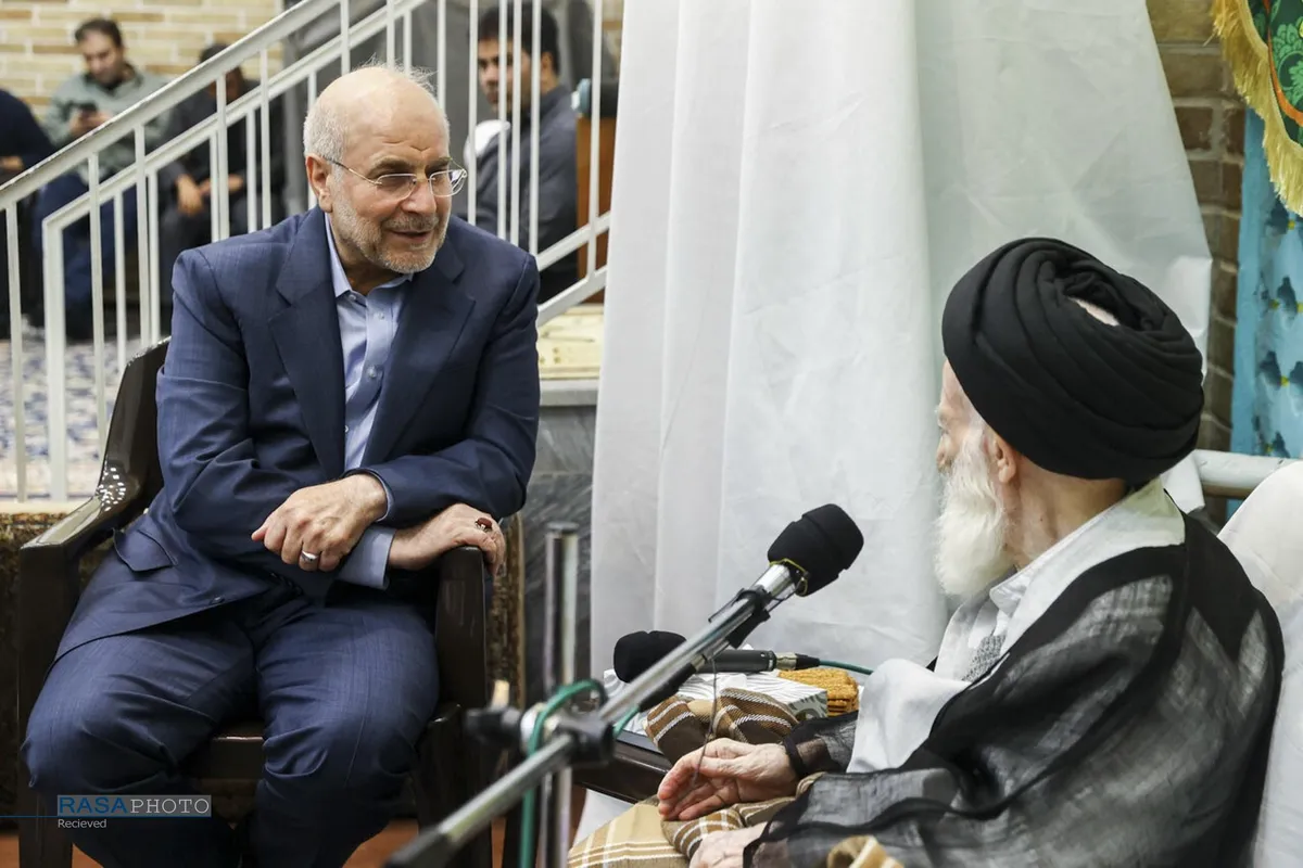 دیدار رئیس مجلس شورای اسلامی با مراجع تقلید