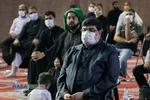 دیدار مداحان و شاعران عرب زبان با نماینده ولی فقیه در آستانه محرم&lrm;