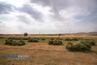 تبلیغ زکات | این است دین درست