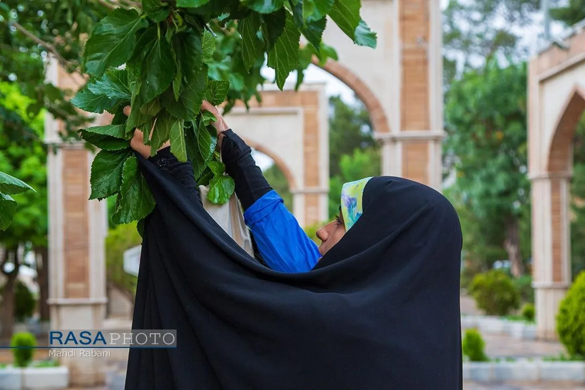 حجاب در سطر سطر زندگی