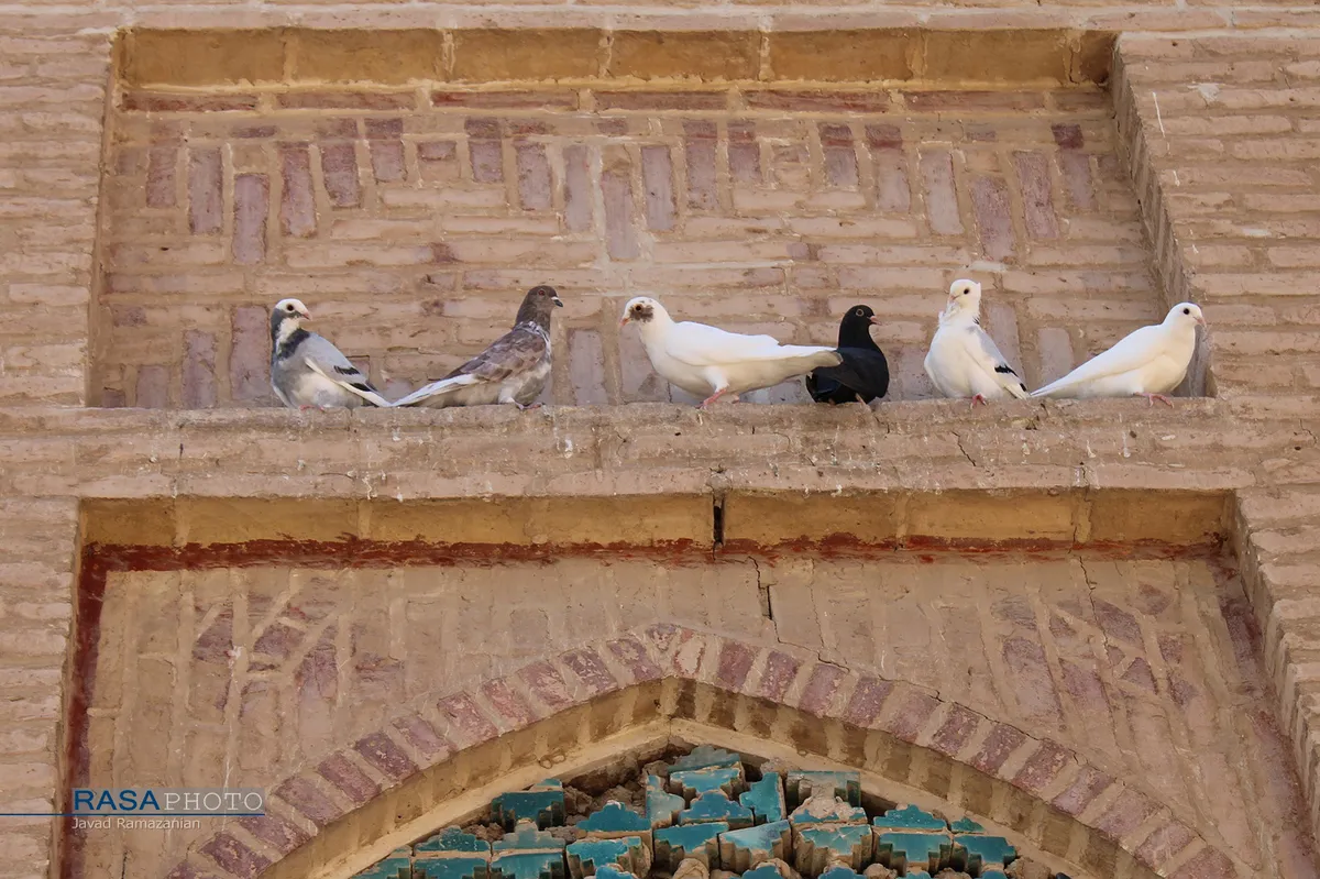 حوزه علمیه موسویه دامغان "مدرسه آقا"
