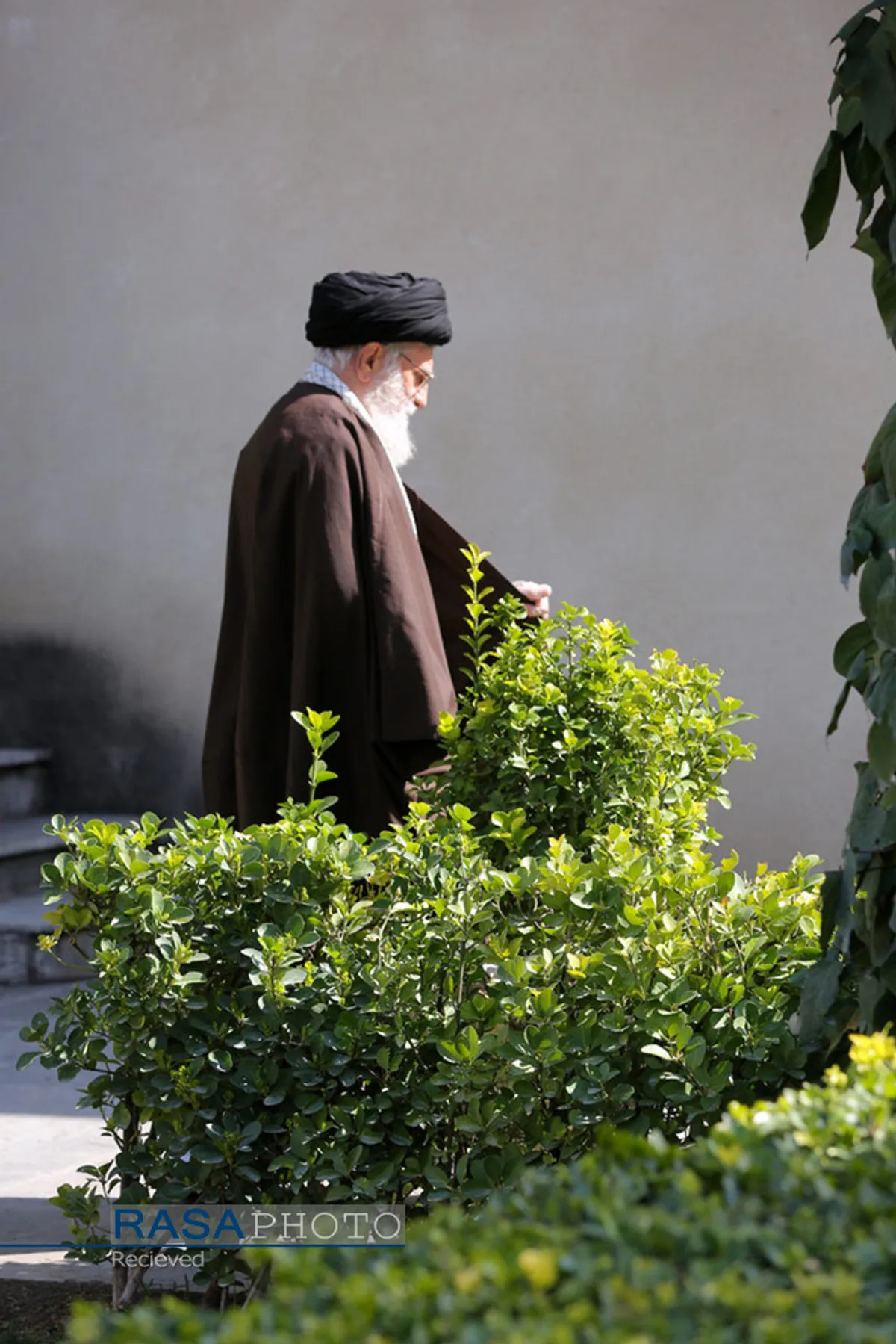 کاشت دو اصله نهال میوه توسط رهبر انقلاب اسلامی