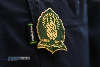 دسته عزاداری خادمان کریمه اهل&zwnj;بیت (ع) در روز شهادت امام رئوف (ع)