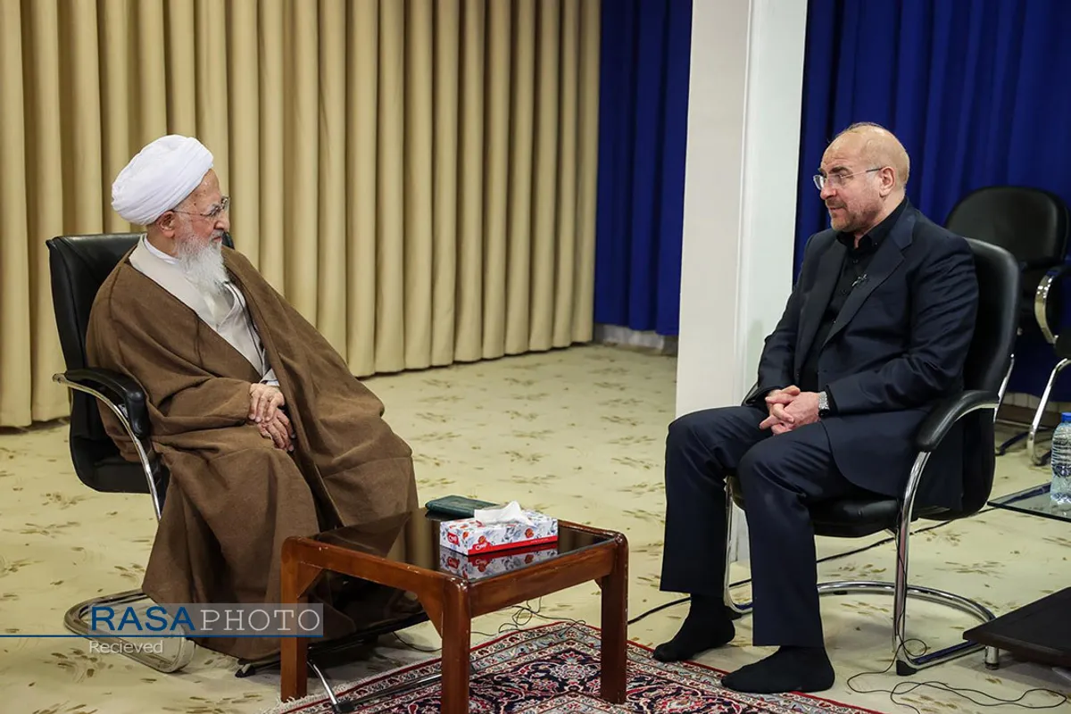 دیدار رئیس مجلس شورای اسلامی با مراجع تقلید در قم