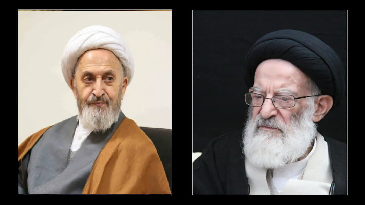 آیت الله شبیری زنجانی در بسیاری از علوم اسلامی صاحب نظر و دارای مبانی استوار بود